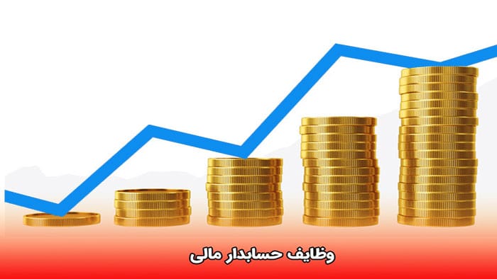 وظایف حسابدار مالی